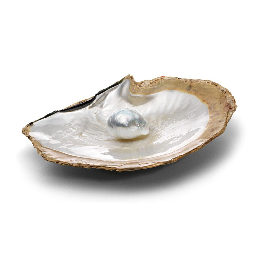 PERLE D'EAU DOUCE