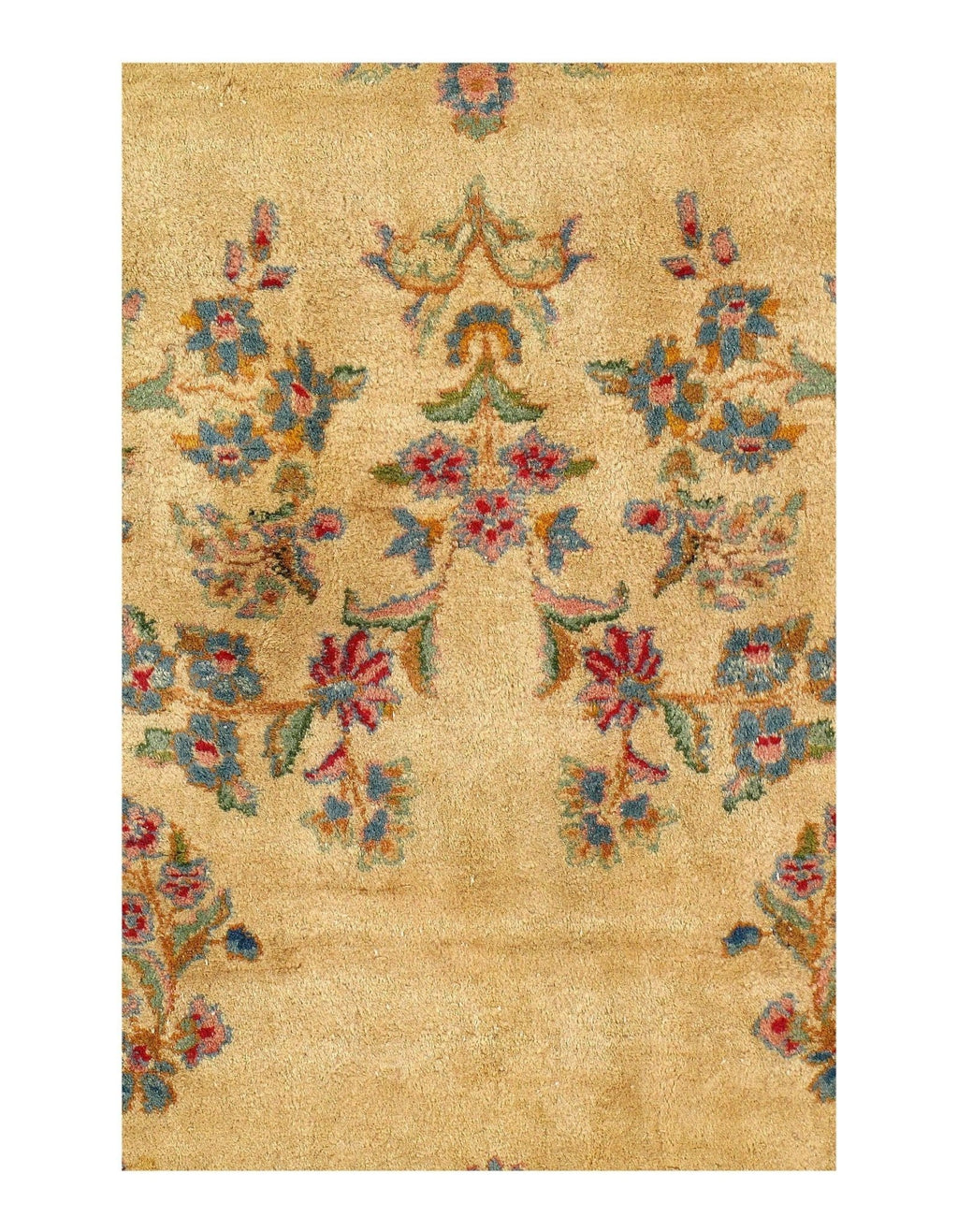 Canvello Hand-Knotted Kerman Well Woven Rugs - 11'8'' X 18'2''