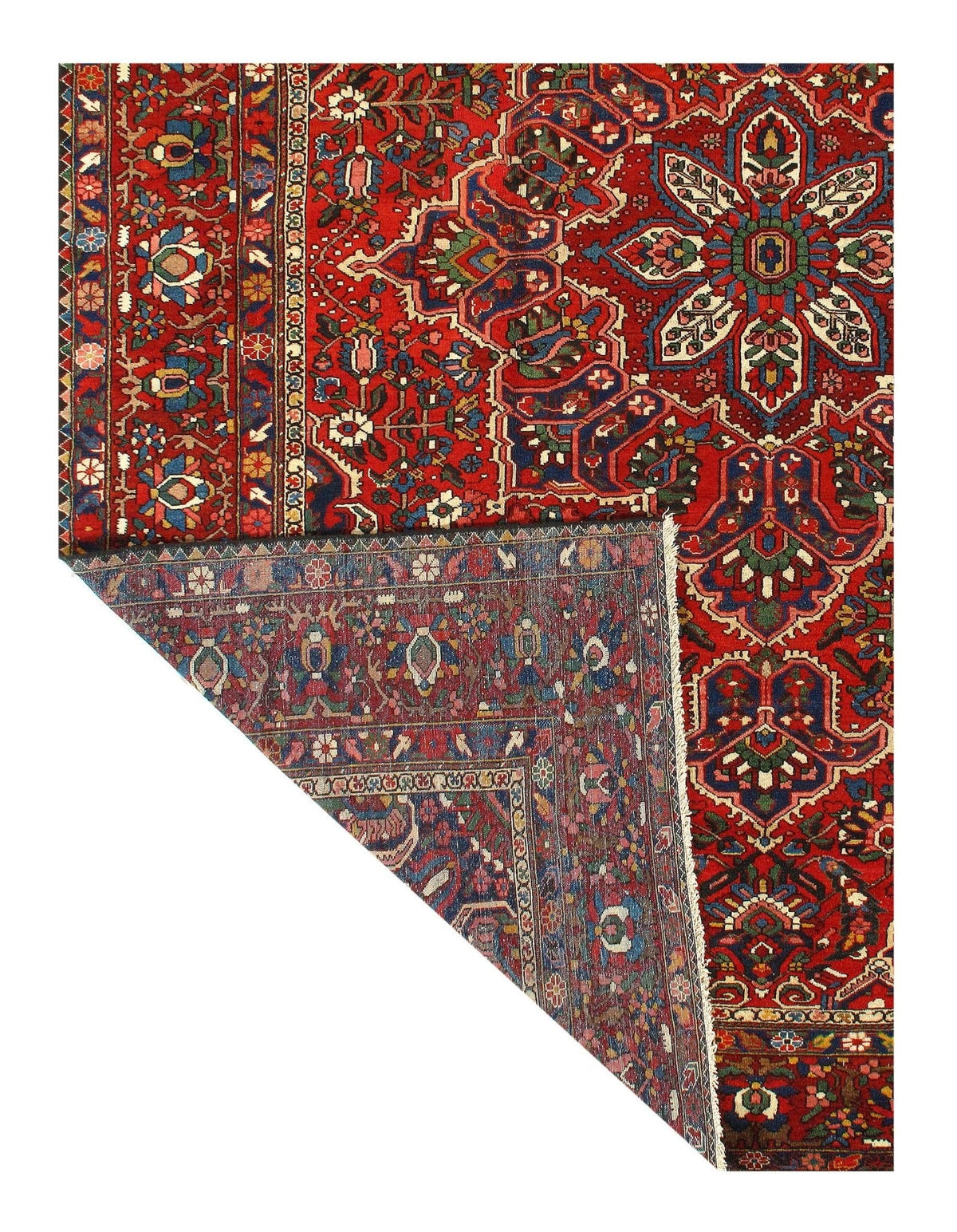 Canvello Silkroad Bakhtiari Wool Hand Knotted Rugs - 11' X 14'1''