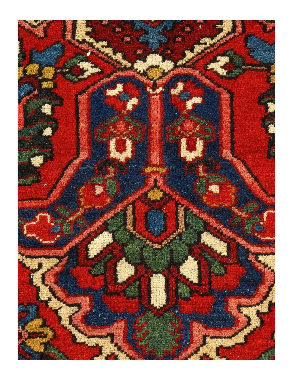 Canvello Silkroad Bakhtiari Wool Hand Knotted Rugs - 11' X 14'1''